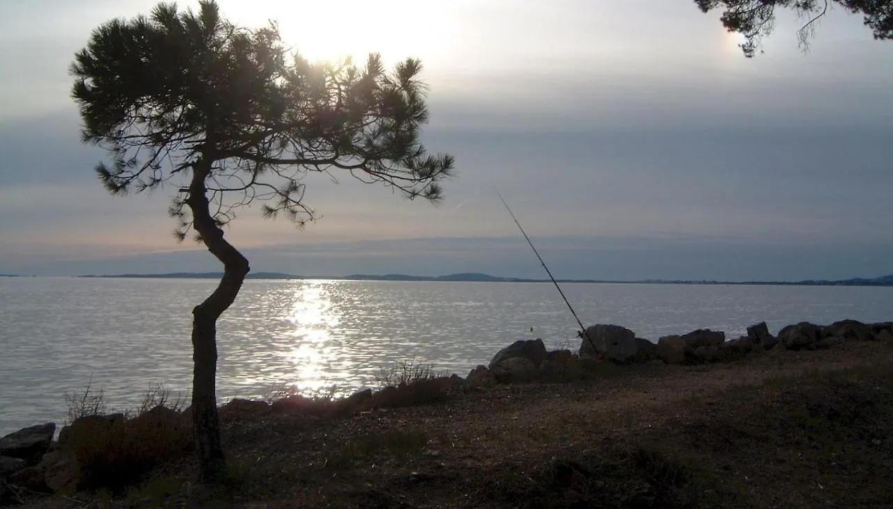 Studio A 50 M De La Plage Et Du Sentier Littoral イエール 0*,